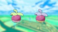 Bounsweet and its shiny variant (Image via The Pokemon Company)